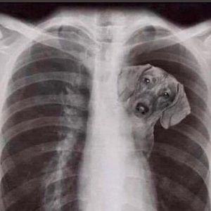 Meet your Posher, Nathan